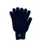 Рукавички чоловічі в'язані віскоза сині CELINE 258-044