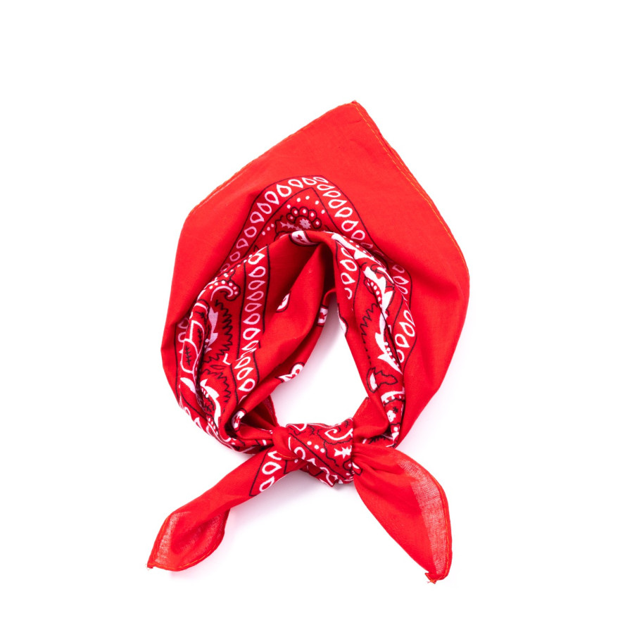 Хустка-бандана жіноча з принтом бавовна різнокольорова DIANA 380-097, фото 1